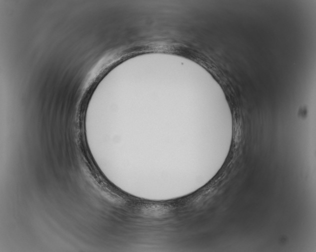 X0000115240198200912111102