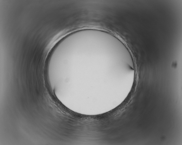 X0000115240199200912111102