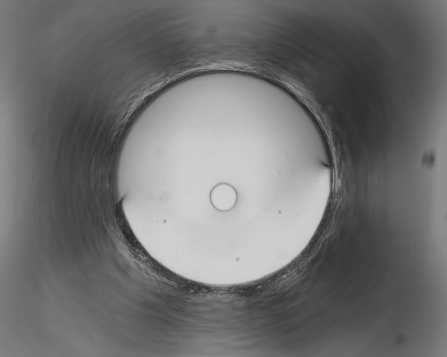 X0000115240201200912111102