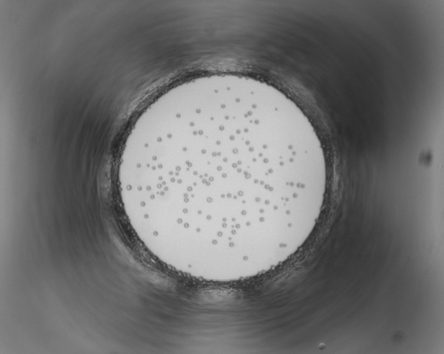 X0000115240202200912111102