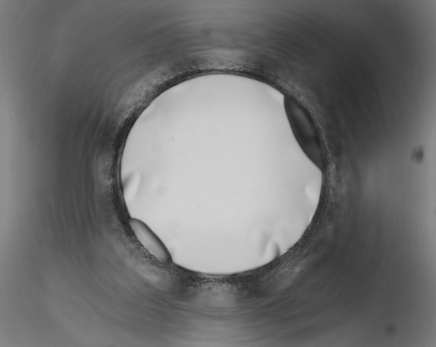 X0000115240203200912111102