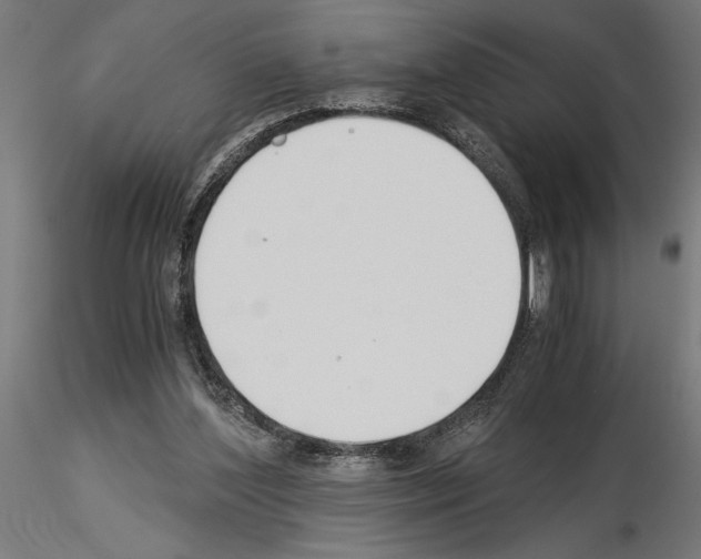 X0000115240204200912111102