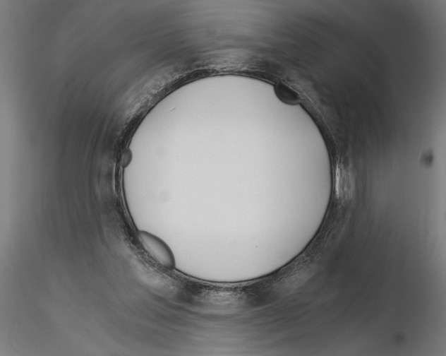 X0000115240205200912111102