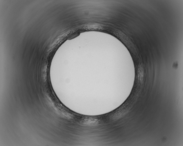 X0000115240206200912111102