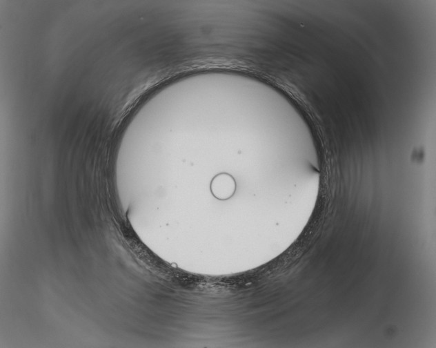 X0000115240207200912111102