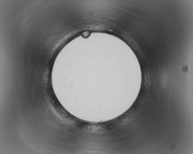 X0000115240208200912111102