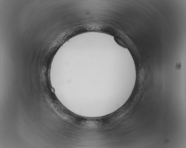 X0000115240209200912111101