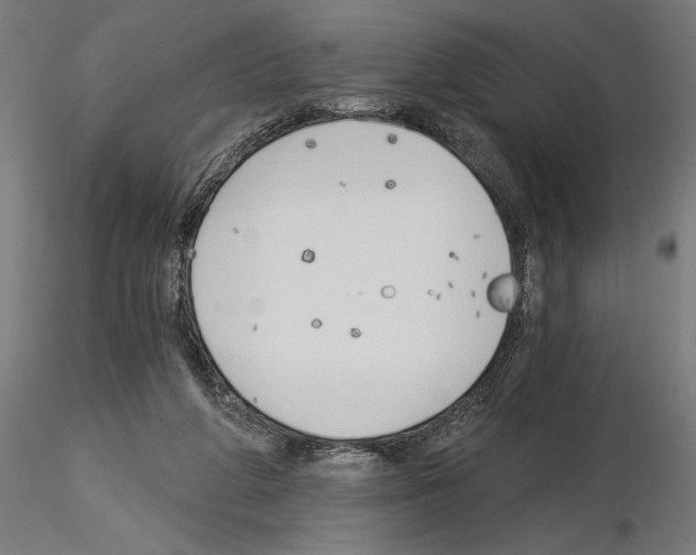 X0000115240210200912111101