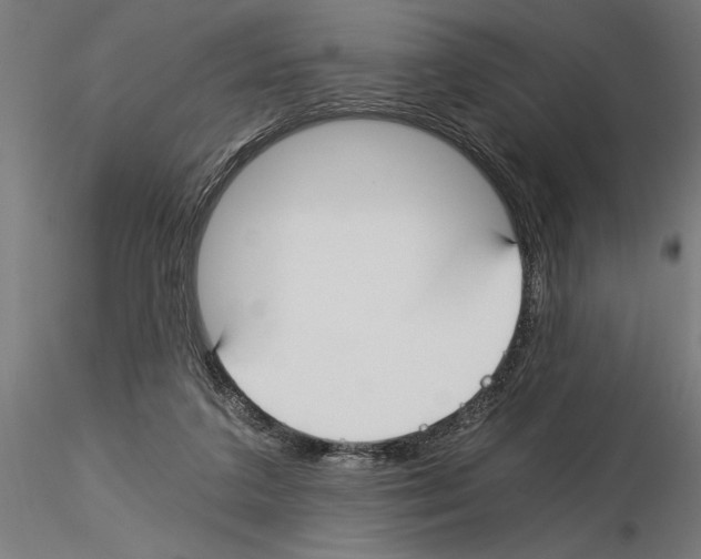 X0000115240211200912111101