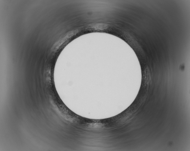 X0000115240212200912111101