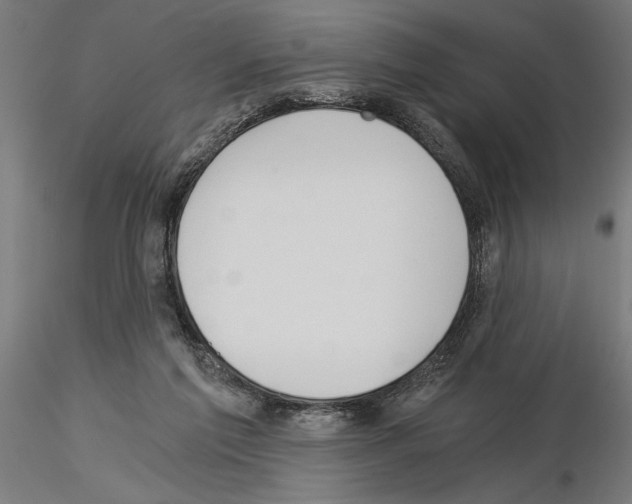 X0000115240213200912111101