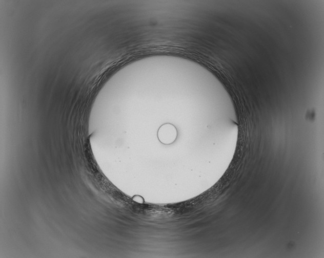 X0000115240215200912111101