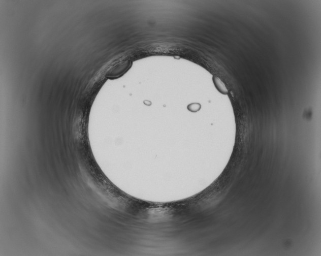 X0000115240216200912111101