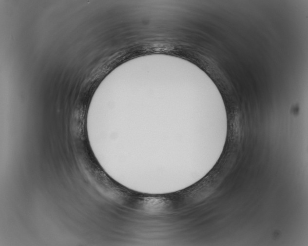 X0000115240218200912111101