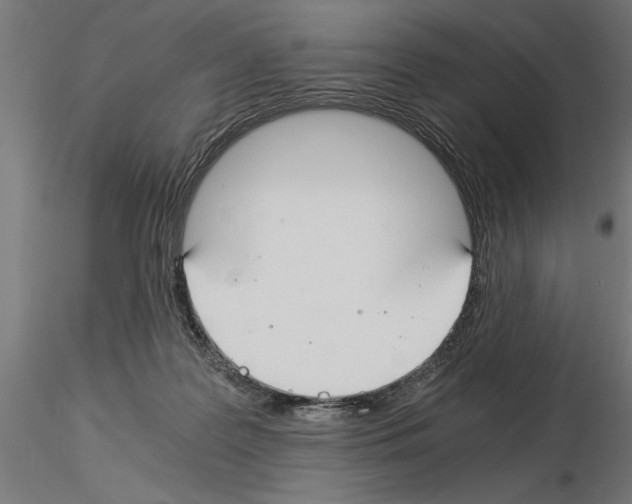 X0000115240219200912111101