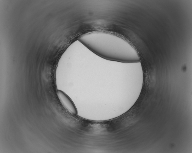 X0000115240221200912111101