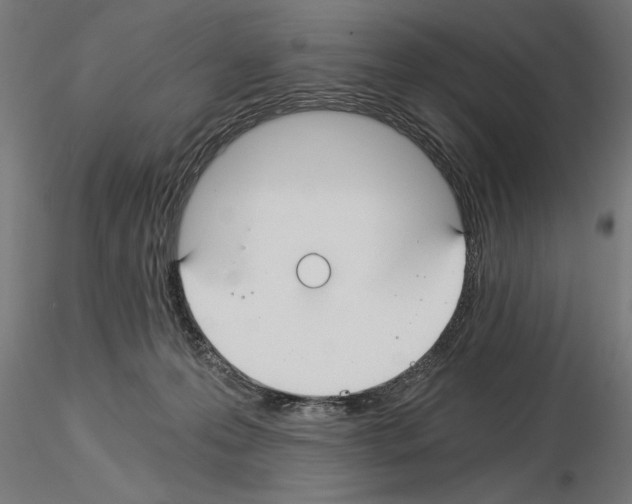 X0000115240223200912111101