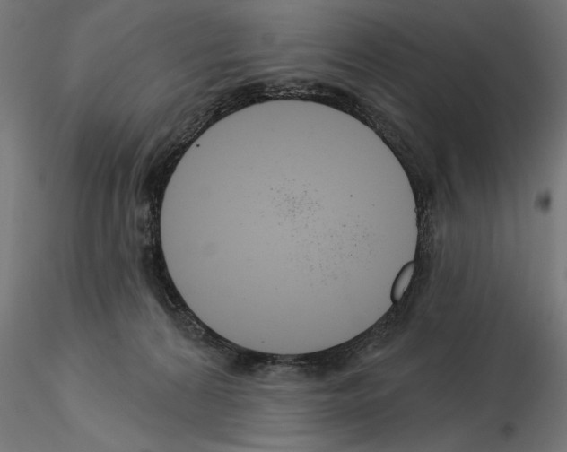 X0000115240224200912111101