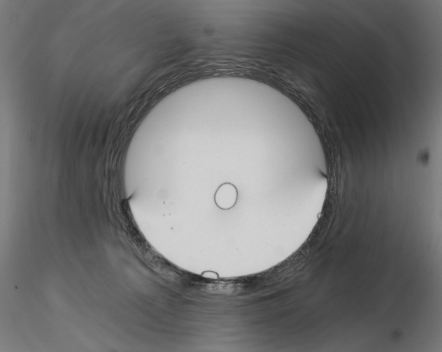 X0000115240225200912111101