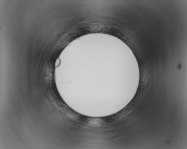 X0000115240226200912111101