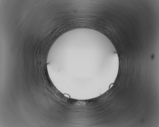 X0000115240227200912111101