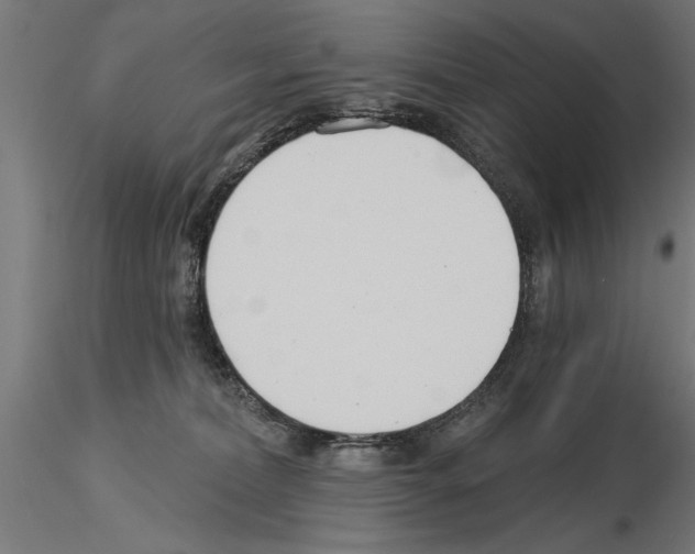 X0000115240228200912111101