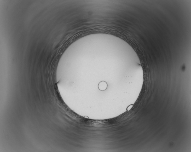 X0000115240229200912111101