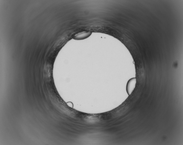 X0000115240232200912111101