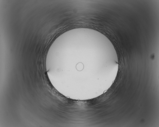 X0000115240233200912111101