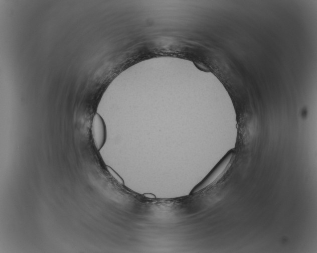 X0000115240235200912111101