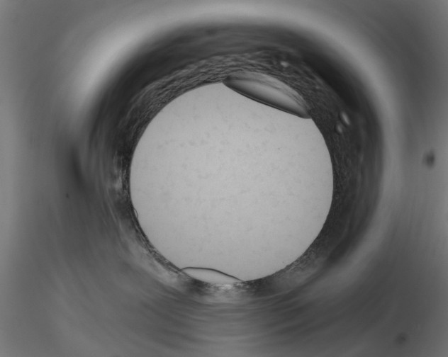 X0000115240239200912111101