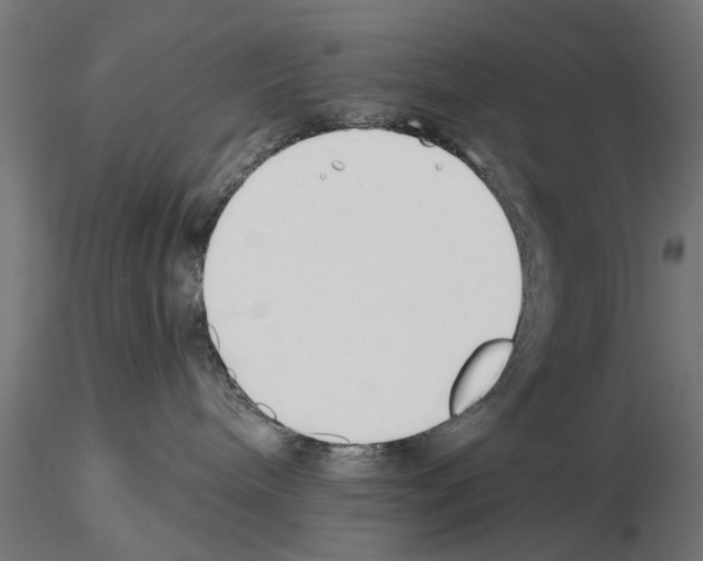 X0000115240240200912111101