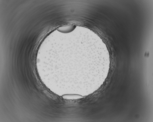 X0000115240241200912111100