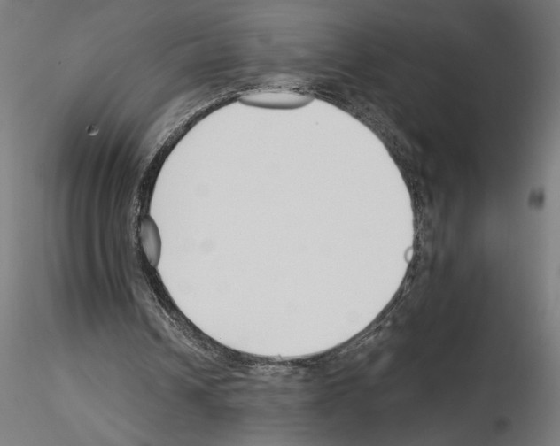 X0000115240242200912111100