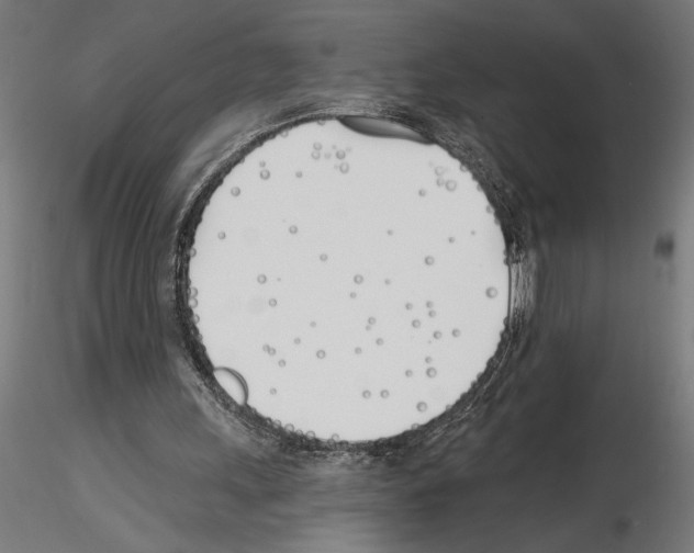 X0000115240243200912111100