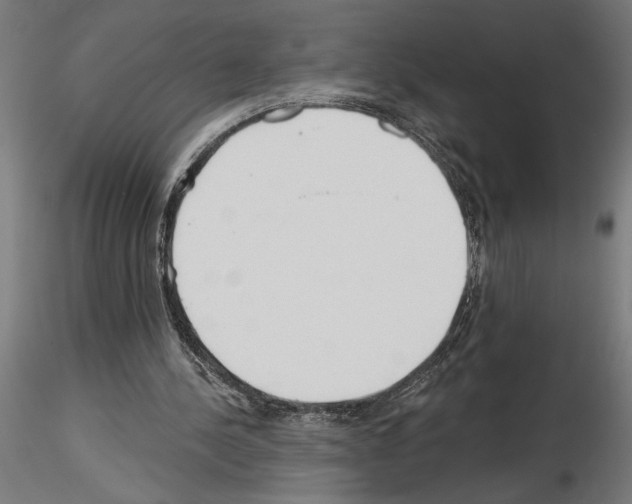 X0000115240244200912111100