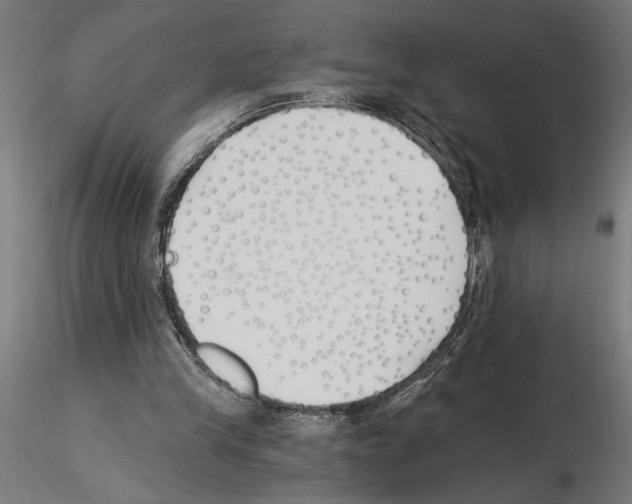 X0000115240245200912111100