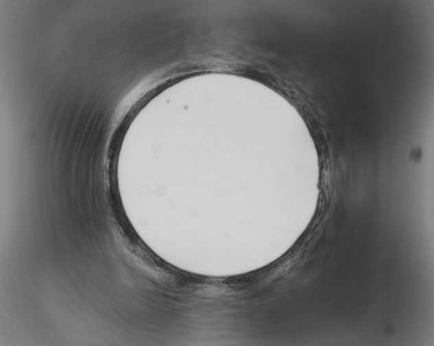 X0000115240246200912111100