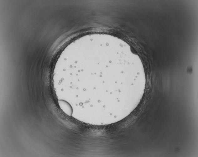 X0000115240247200912111100