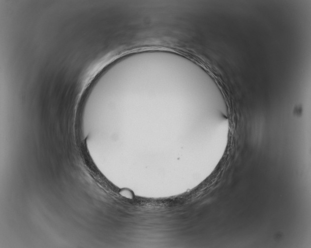 X0000115240248200912111100