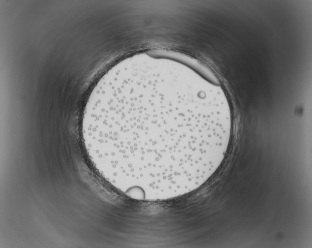 X0000115240249200912111100