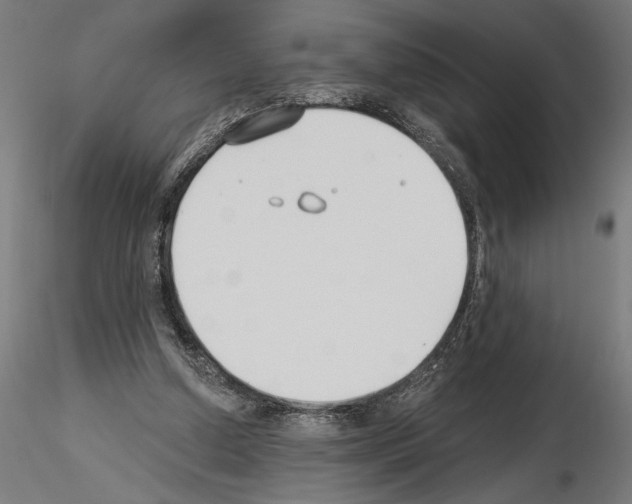 X0000115240250200912111100