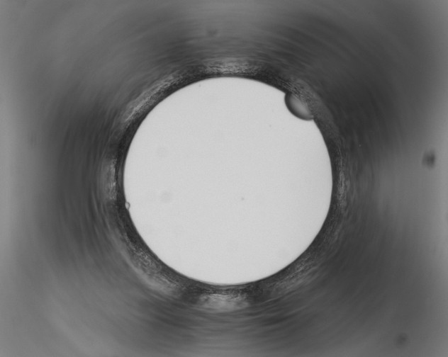 X0000115240251200912111100