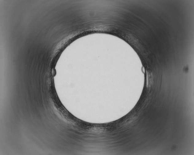 X0000115240252200912111100