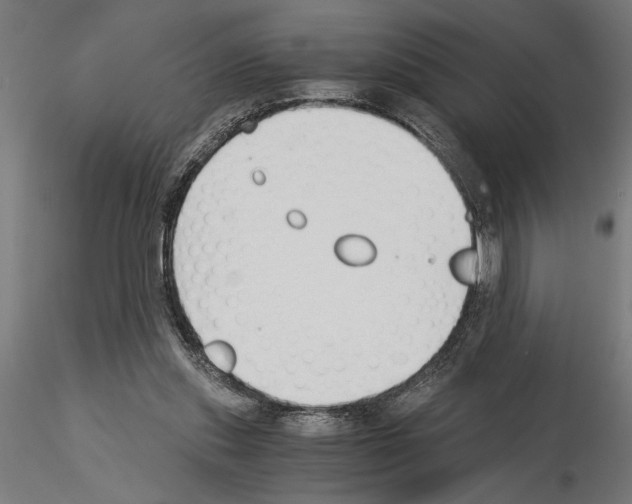 X0000115240253200912111101