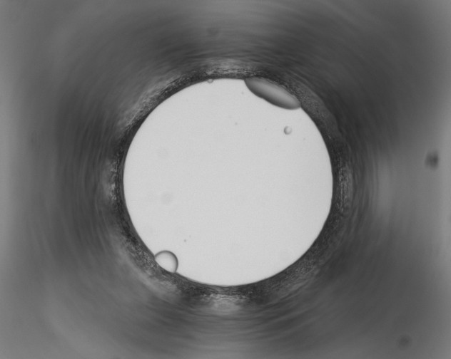 X0000115240255200912111101