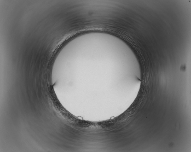 X0000115240256200912111101