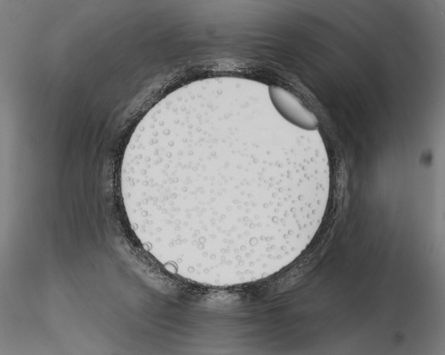 X0000115240257200912111101