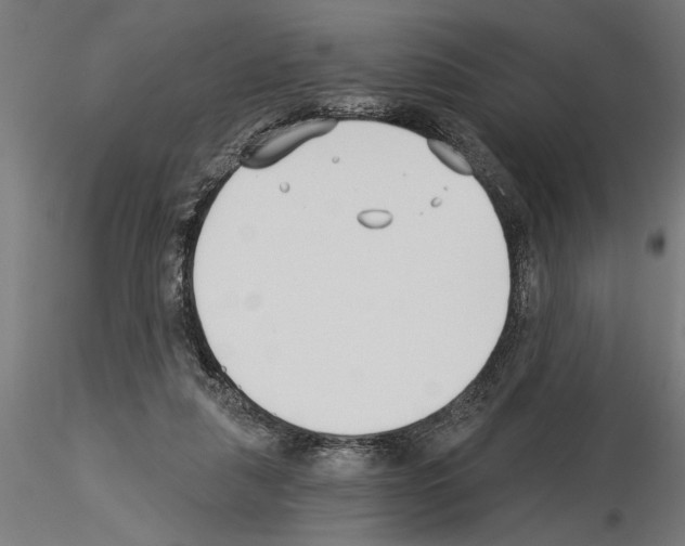 X0000115240259200912111101