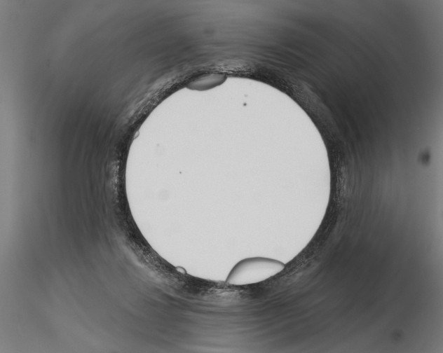 X0000115240260200912111101